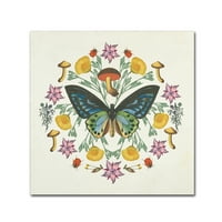 Zaštitni znak Likovna umjetnost' leptir Mandala IV ' platno Art Od Wild Apple Portfolio
