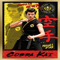 Cobra Kai - Miguel zidni poster, 22.375 34