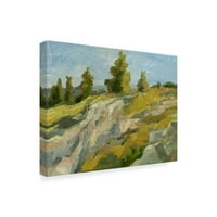 Zaštitni znak likovne umjetnosti' Impasto Mountainside II ' platnena Umjetnost Ethana Harpera