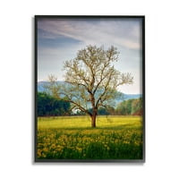 Stupell Lone Tree Wildflower Meadow Landscape Photography Black Framered Art Print Wall Art