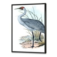 Drevne Australijske Ptice V Uokvirena Slika Na Platnu Art Print