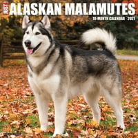 Willow Creek Press Just Alaskan Malamutes Wall Calendar