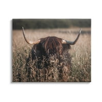 Stupell Industries Highland Stoka u visokim travnim životinjama i insektima Fotografija Galerija zamotana platna Print Wall Art Art