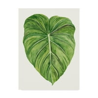 Zaštitni znak likovne umjetnosti' Tropical Breeze Leaves II ' platnena Umjetnost Naomi McCavitt