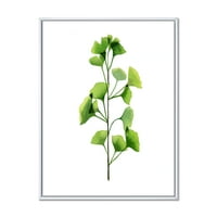 Designart 'Green Field Plant Foliage Branch' Seoska Kuća Uokvirena Platnenim Zidom Art Print