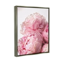 Stupell Industries Blush Pink Peonies Florals cvjetaju preko bijelog sjaja sive uokvirene plutajuće platnene zidne umjetnosti, 16x20