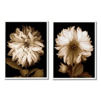 Stupell Sepia Chrysanthemum Flower Blooms Botanička i cvjetna fotografija bijeli uokvireni umjetnički