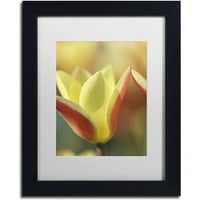 Zaštitni znak likovne umjetnosti 'tulip tinka' platna umjetnost cora niele, bijeli mat, crni okvir