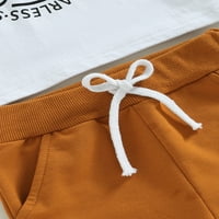Lieserram ljetni set odjeće za dječake za djecu, mjeseci 2T 3T kratka majica s rukavima + elastični čvrsti