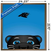Carolina Panthers - S. Preston Maskot Sir Purr zidni poster, 22.375 34