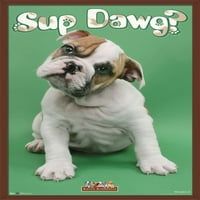 Keith Kimberlin - Sup Dawg zidni poster, 14.725 22.375