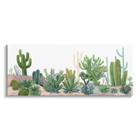 Stupell Raznolika Pustinjska Vegetacija Kaktusi Botanička I Cvjetna Slika Galerija Umotana Platna Print