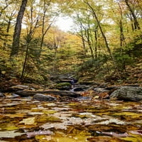 Vodene kaskade niz padinu u šumi u jesenskoj boji; Dunham, Quebec, Kanada Spencer Robertson Design Pics